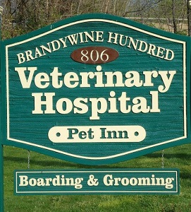 Brandywine Hundred Veterinary Hospital logo