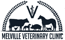 Melville Veterinary Clinic logo